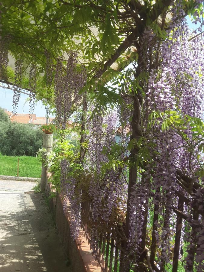 Mansarda Fiorita Bed & Breakfast Abatemarco Bagian luar foto