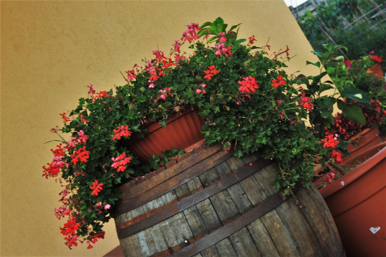 Mansarda Fiorita Bed & Breakfast Abatemarco Bagian luar foto