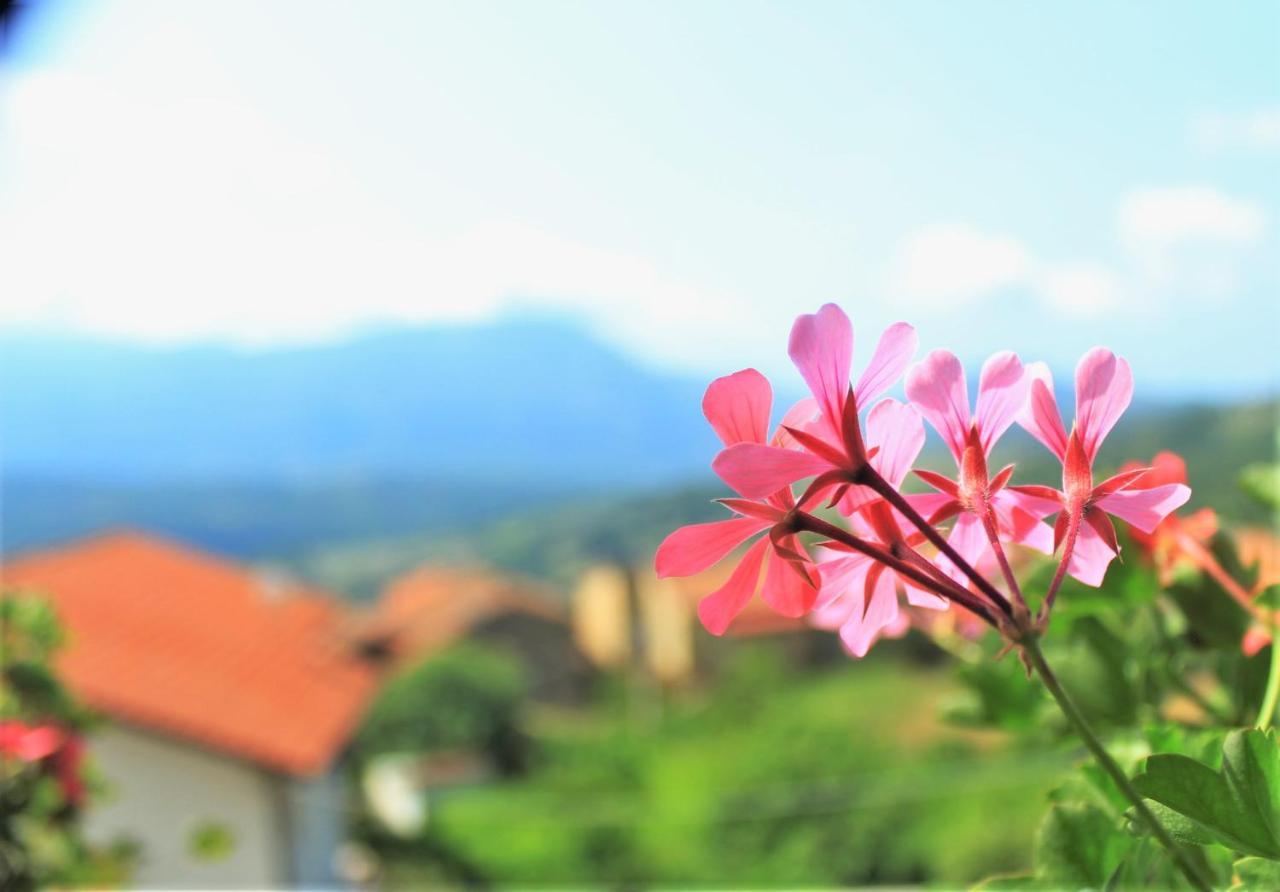 Mansarda Fiorita Bed & Breakfast Abatemarco Bagian luar foto